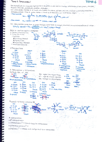Tema-6.pdf