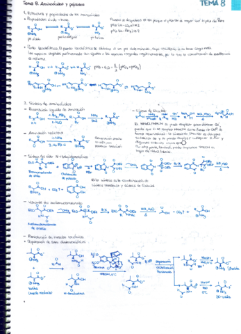 Tema-8.pdf