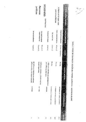 Tabla-tipos-de-empresa-segun-su-forma-Juridica-1.pdf