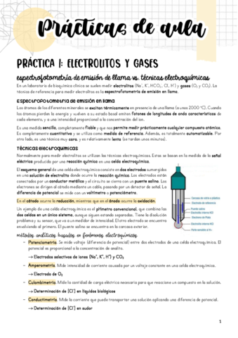 Practicas-de-aula.pdf