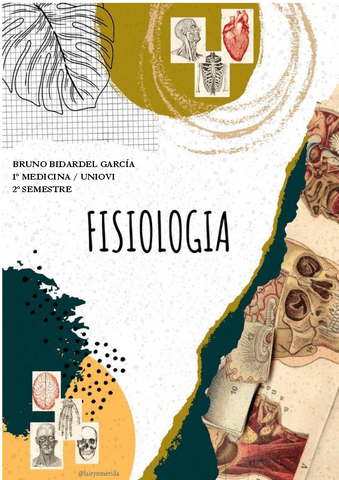 Fisiologia-apuntes-propios.pdf