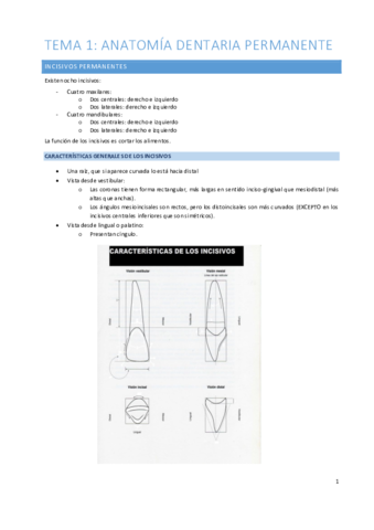 Magistral Fácil.pdf