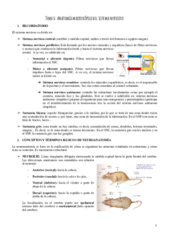 Tema-6-Psicobiologia.pdf