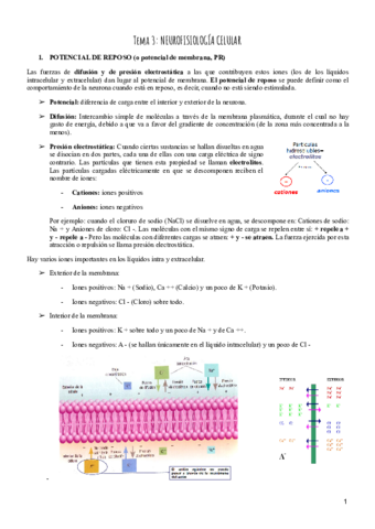 Tema-3-Psicobiologia.pdf