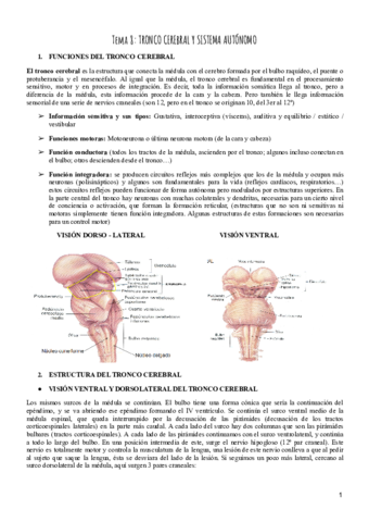 Tema-8-Psicobiologia.pdf