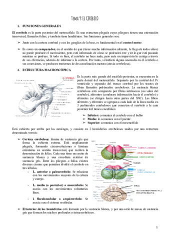 Tema-9-Psicobiologia.pdf