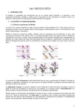 Tema-5-Psicobiologia.pdf