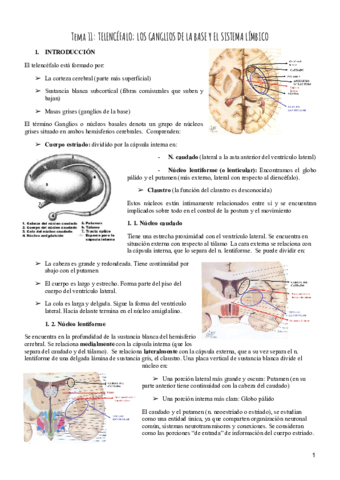 Tema-11-Psicobiologia.pdf