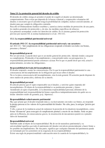 Tema 13.pdf