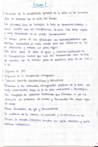 Parte-1-Preguntas-desarrollo.pdf