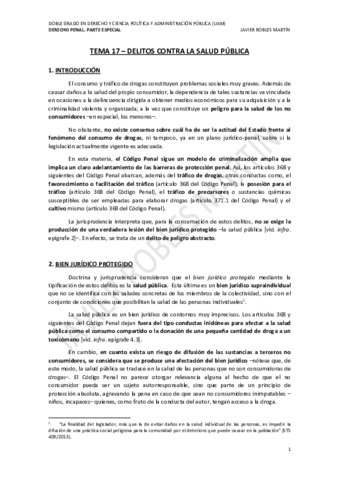 TEMA-17-DPPE.pdf