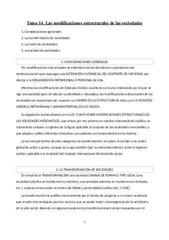 TEMA 14. DCHO MERCANTIL.pdf