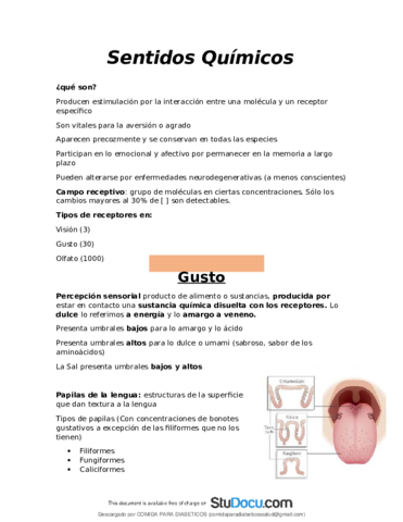 Clase-de-Sentidos-Quimicos.pdf