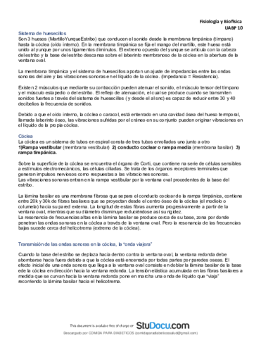 Fisiologia-Audicion-Resumen-Guyton-e-Hall-Fisiologia-medica.pdf