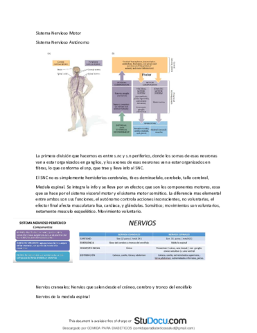 Sistema-Nervioso-Motor.pdf