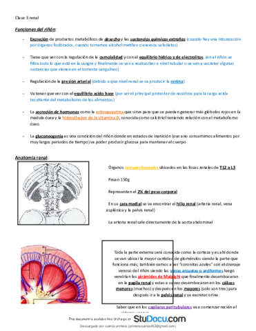 Funciones-del-rinon-este-es-un-resumen-del-la-clase-de-nefrologia.pdf