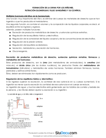 Formacion-de-Orin-Filtracion-glomerular-Flujo-sanguineo-renal-y-su-control.pdf