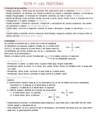 TEMA-4-LAS-PROTEINAS.pdf