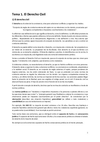 Derecho-civil-Bloque-I.pdf