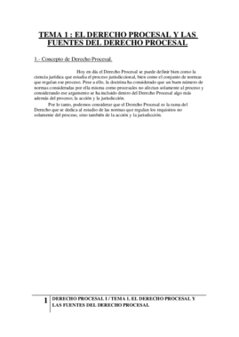 Derecho Procesal I.pdf