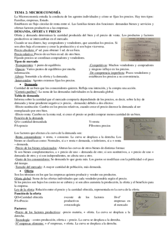 tema-2-microeconomia.pdf