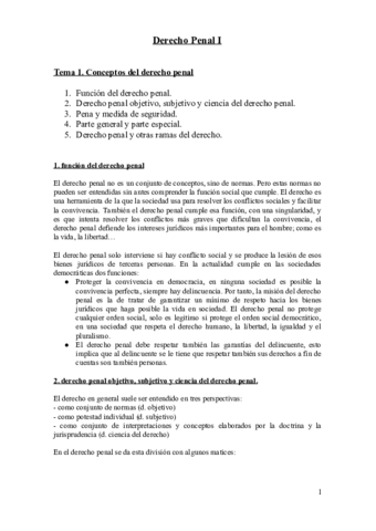 DERECHO PENAL I.pdf