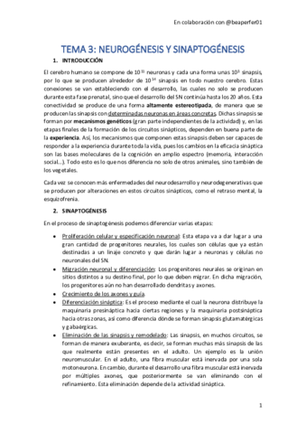 TEMA-3.pdf