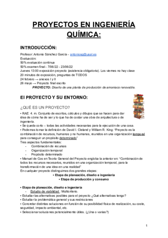 EL-PROYECTO-Y-SU-ENTORNO.pdf