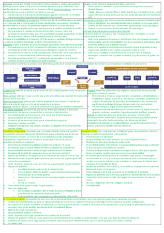 Empresas-Resumen1.pdf