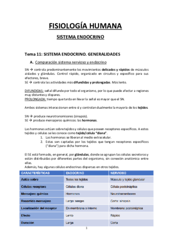 apuntes-fisio-sistema-endocrino.pdf