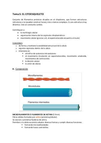biologia-apuntes-tema-5.pdf