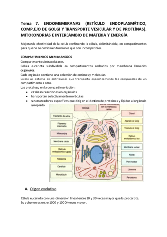 biologia-apuntes-tema-7.pdf