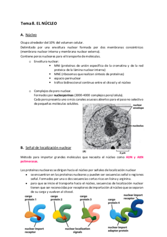 biologia-apuntes-tema-8.pdf