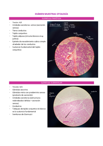 EXAMEN-MUESTRAS-CITOLOGIA.pdf