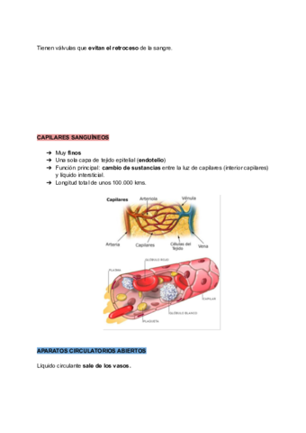 Aparato-circulatorio.pdf