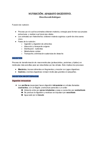 Aparato-digestivo-.pdf