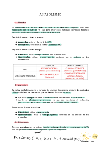 Anabolismo-y-fotosintesis-.pdf