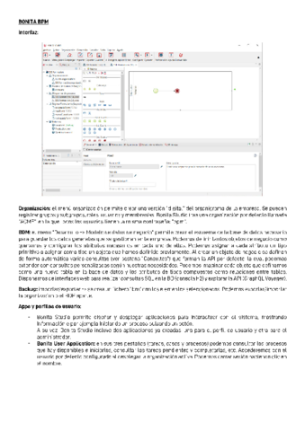 Resumen-BONITA-BPM.pdf