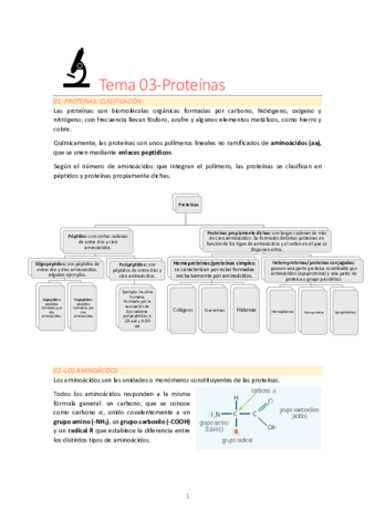 RESUMEN-PROTEINAS.pdf
