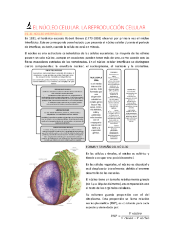 EL-NUCLEO-CELULAR.pdf