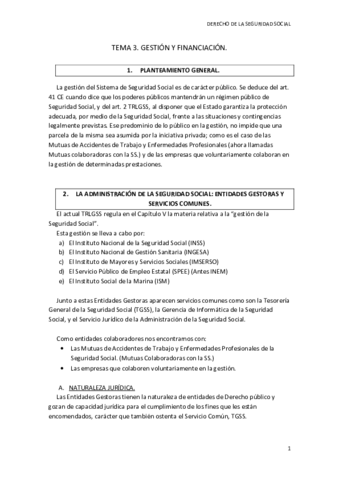 TEMA 3 SS.pdf