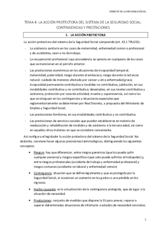 TEMA 4 SS.pdf