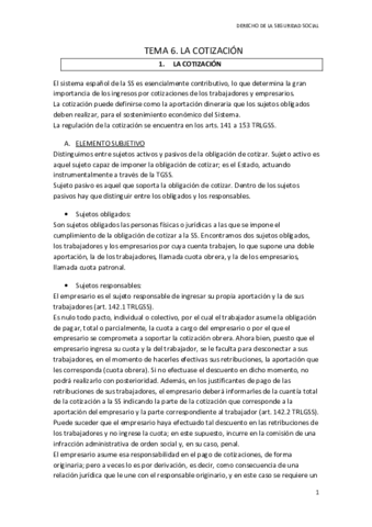TEMA 6 SS.pdf