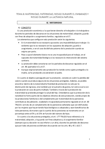 TEMA 8 SS.pdf