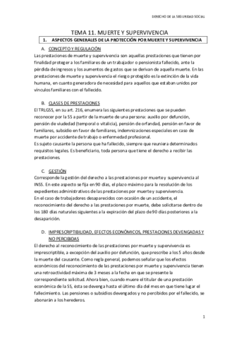 TEMA 11 SS.pdf