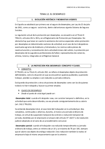 TEMA 12 SS.pdf
