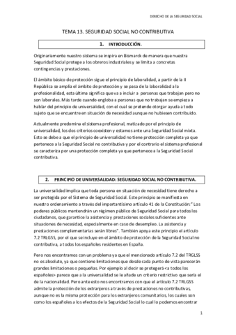 TEMA 13 SS.pdf