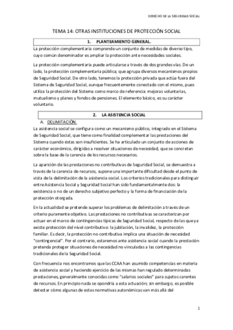 TEMA 14 SS.pdf