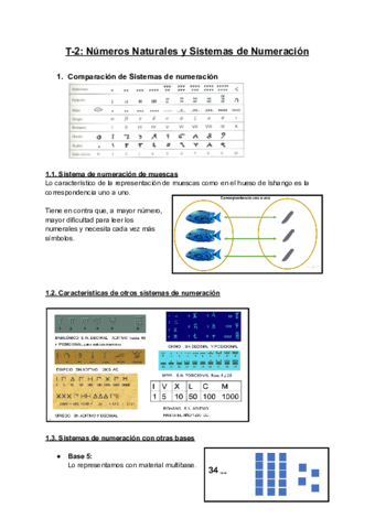 T-2-Numeros-Naturales-y-Sistemas-de-Numeracion.pdf