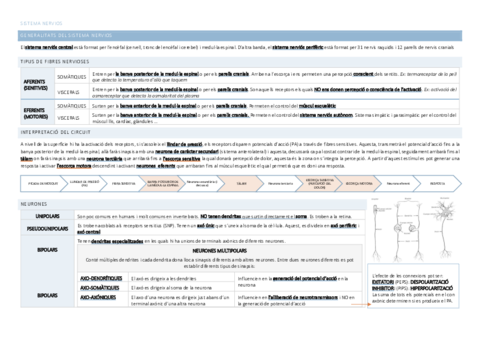 RESUM-FISIO-CC-NEURO.pdf